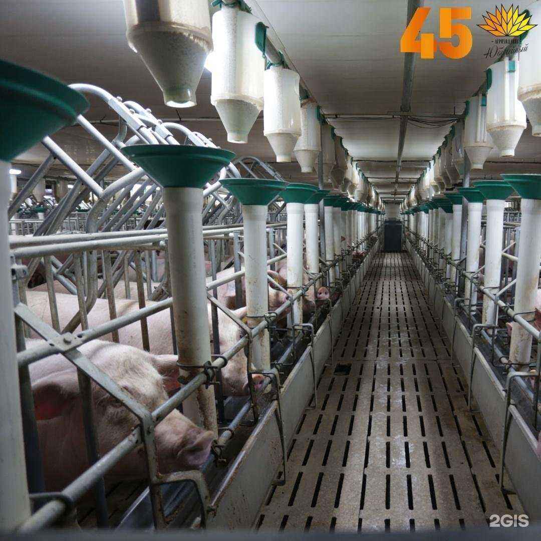 Отзывы на компанию Ишимский в г. Тюмень c фото