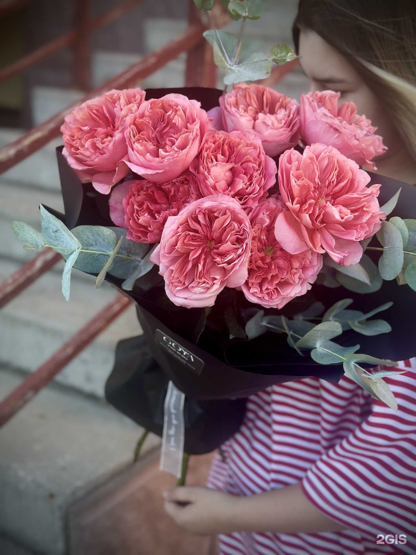 Отзывы на компанию Гойя в г. Альметьевск c фото