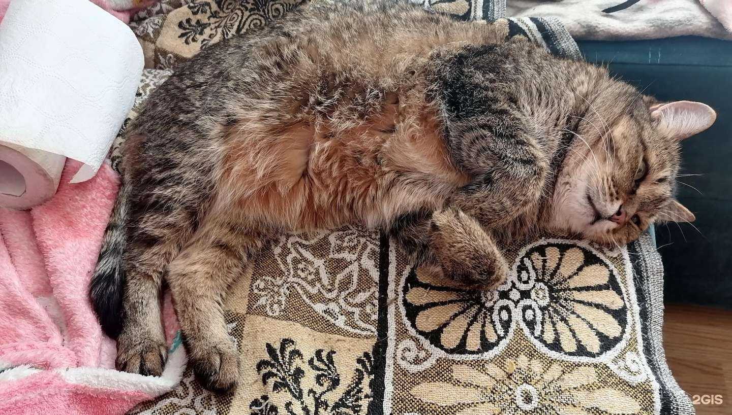 Отзывы на компанию Ирбис в Новосибирске c фото