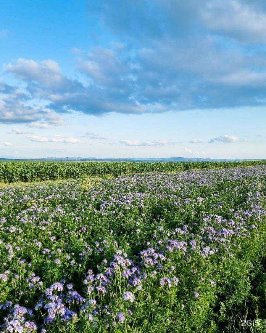 Отзывы на компанию Приоритет трейд в Краснодаре c фото