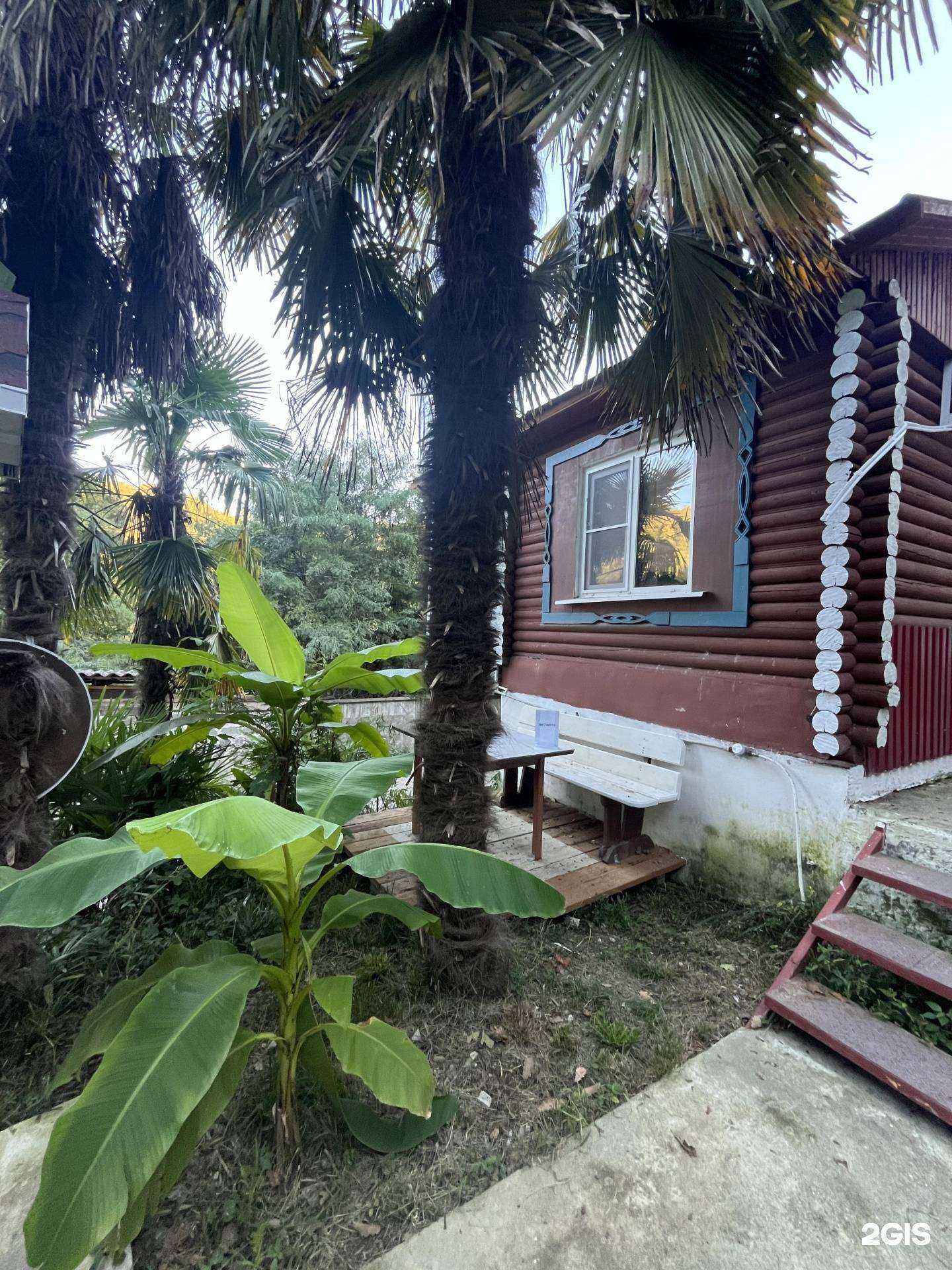 Отзывы на компанию Пальма де Мацеста в Сочи c фото