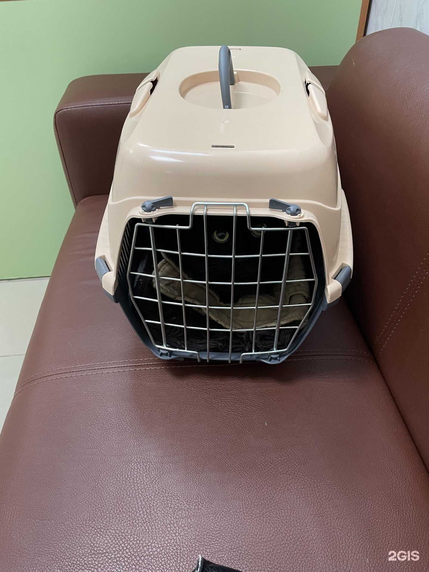 Отзывы на компанию Зооветсервис в г. Пермь c фото