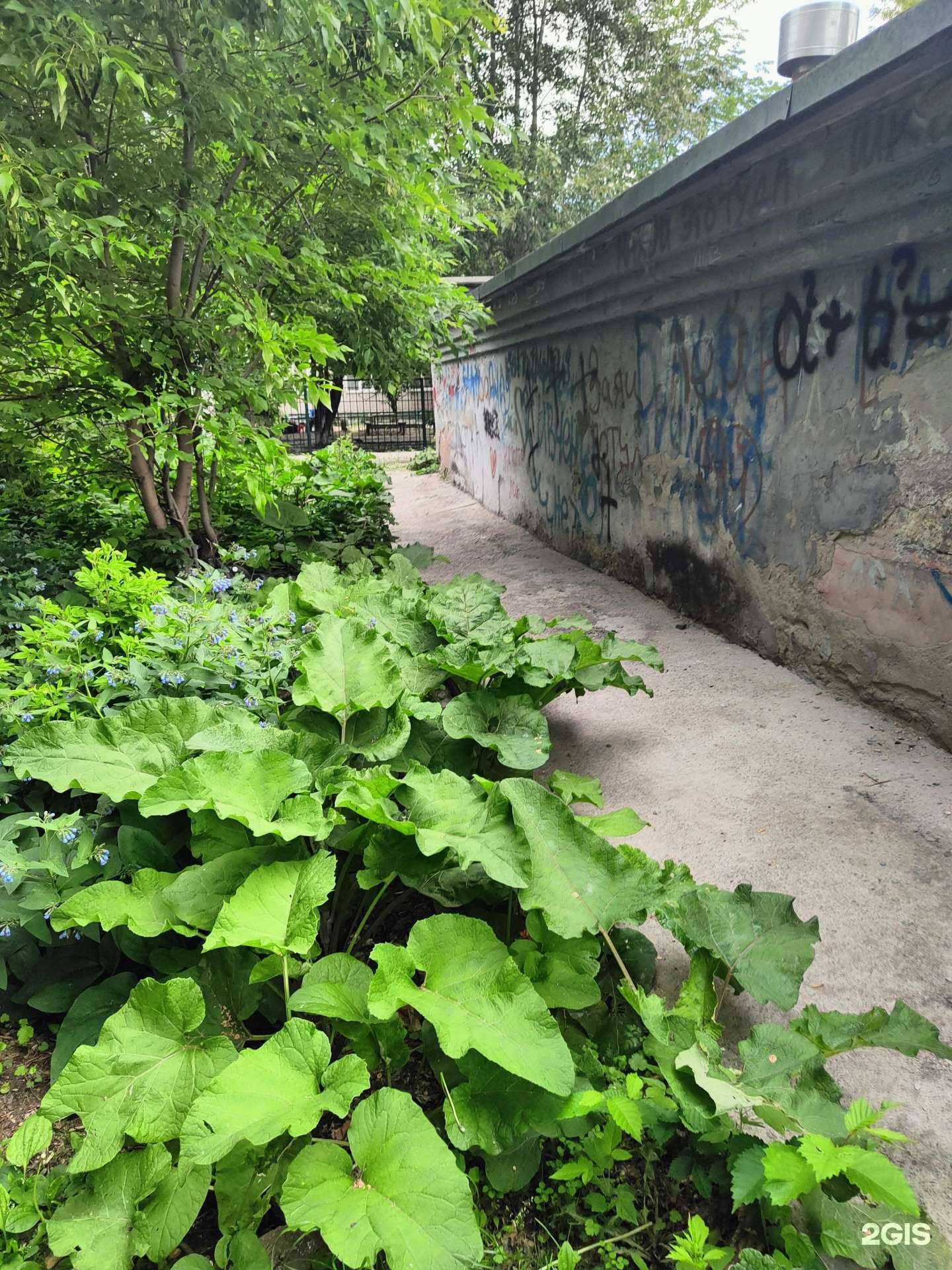 Отзывы на компанию Средняя школа №65 в Новосибирске c фото