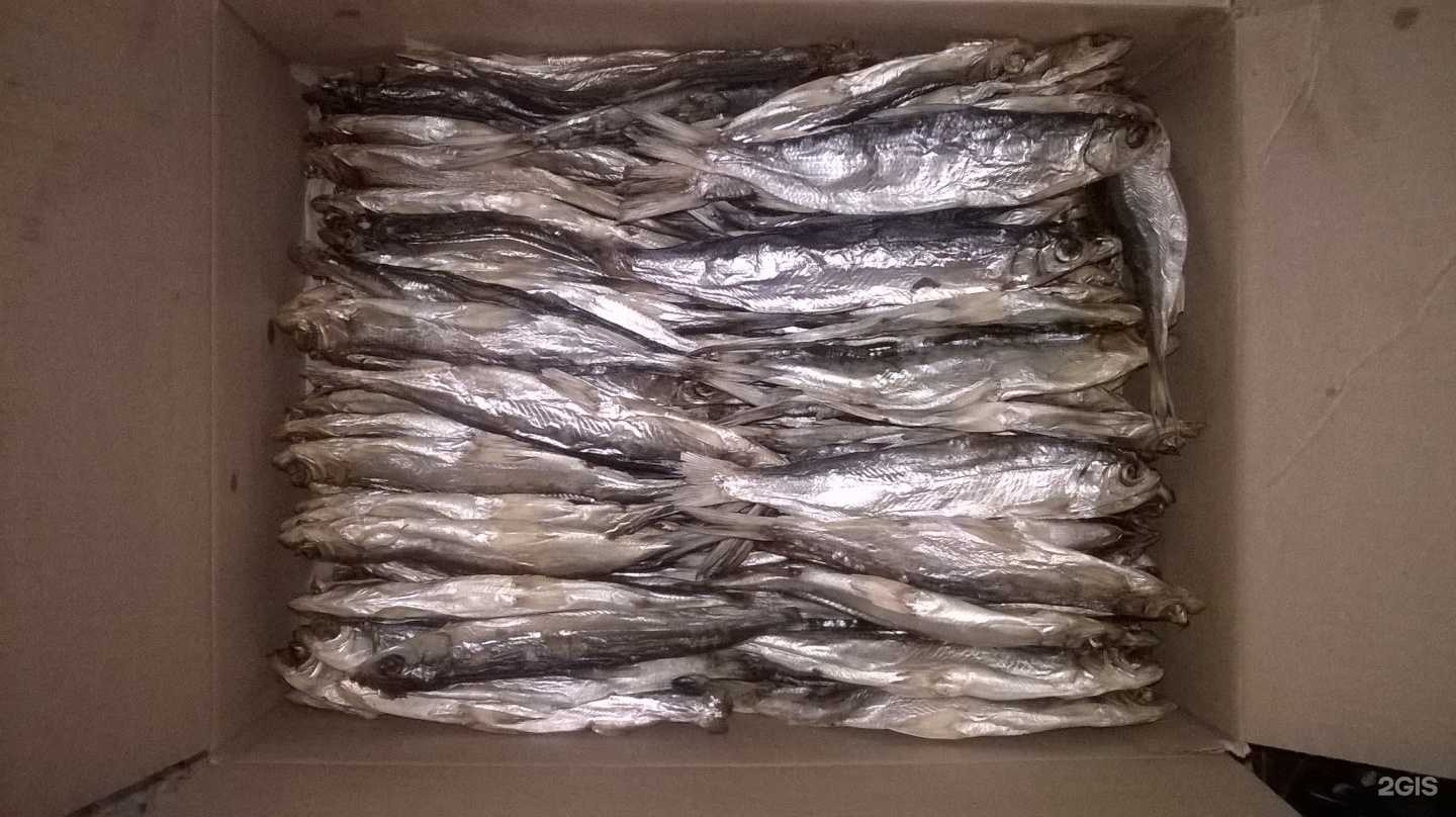 Отзывы на компанию Ямальская рыба в г. Тюмень c фото
