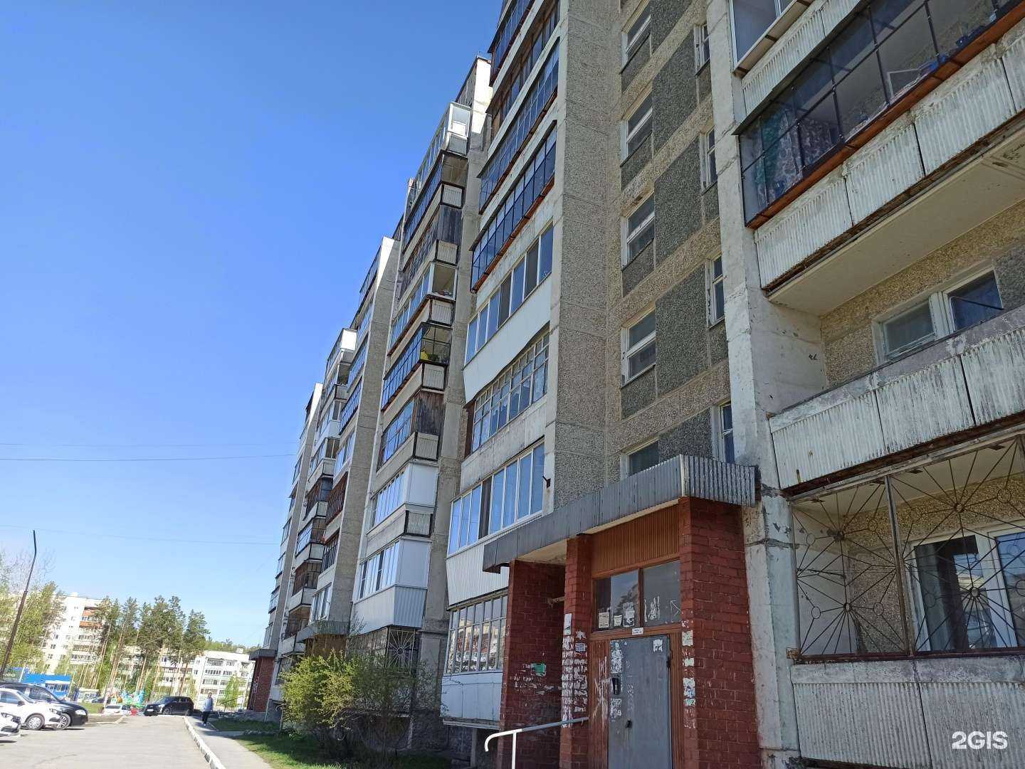 Отзывы на компанию Дебют в Полевское c фото