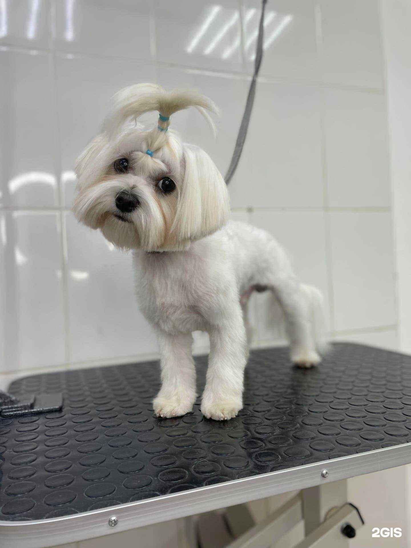 Отзывы на компанию Mone в г. Петропавловск-Камчатский c фото