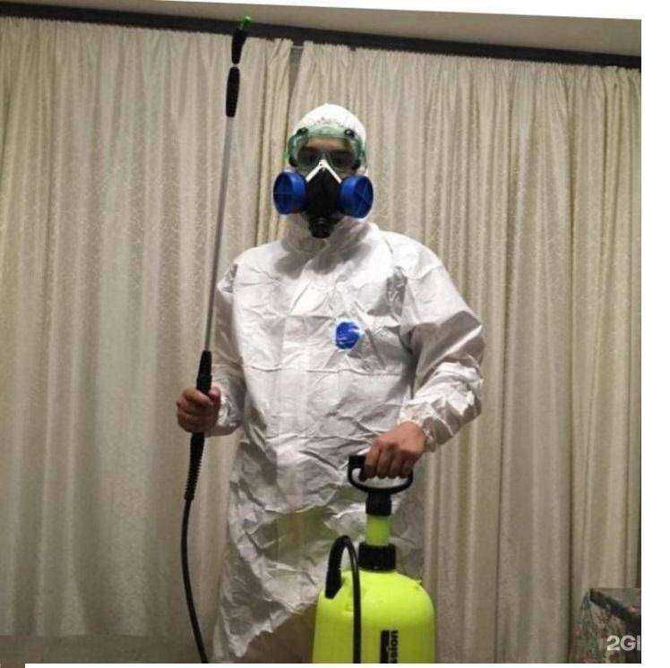 Отзывы на компанию Дез-Дом в Челябинске c фото