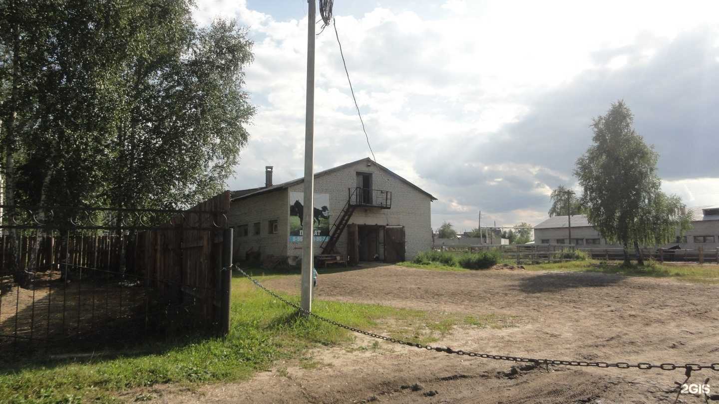 Отзывы на компанию Федерация конного спорта в Кургане c фото