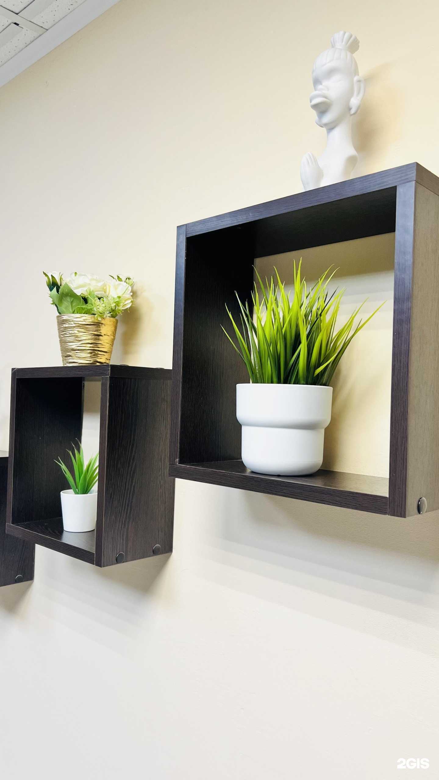 Отзывы на компанию Шёлк в Нижнем Новгороде c фото