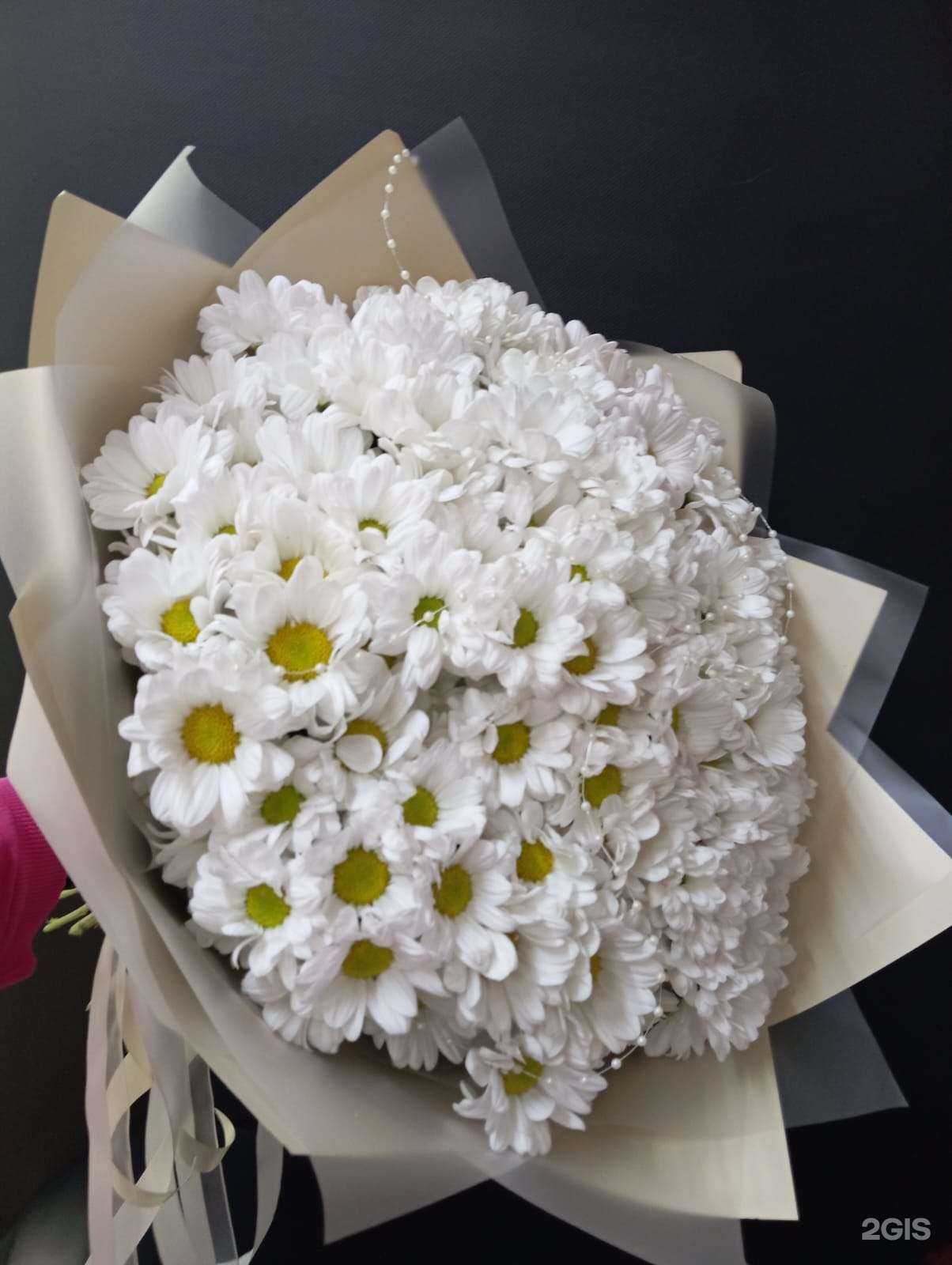 Отзывы на компанию Сюрприз в Новороссийске c фото