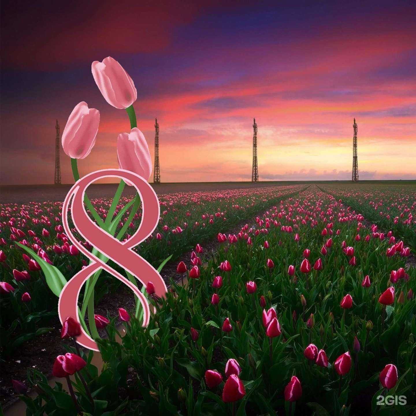 Отзывы на компанию Реском в г. Иваново c фото