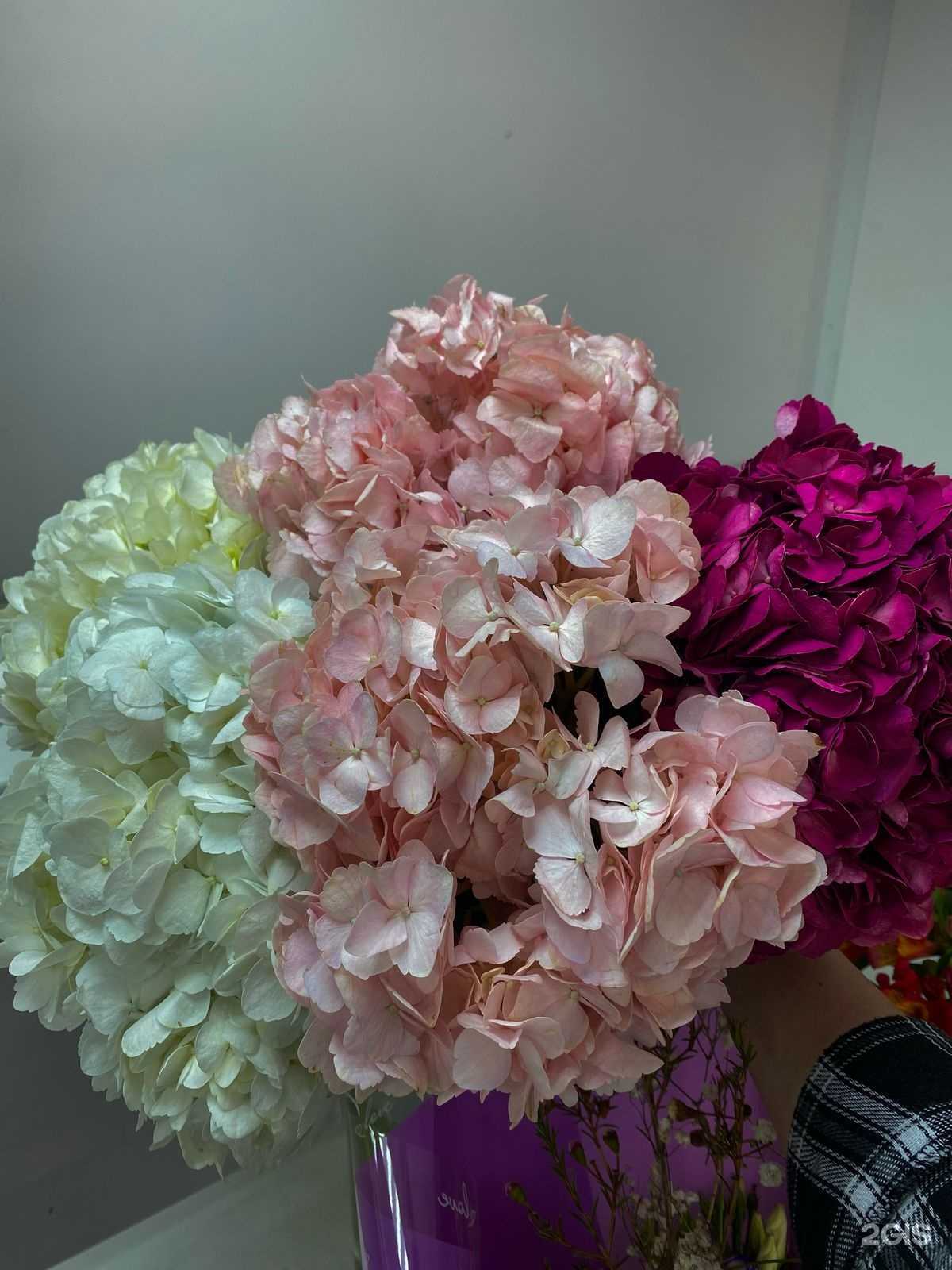 Отзывы на компанию Sofia  в г. Воронеж c фото