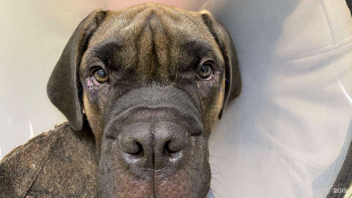 Отзывы на компанию Доктор АЙ и ОЙ в Твери c фото