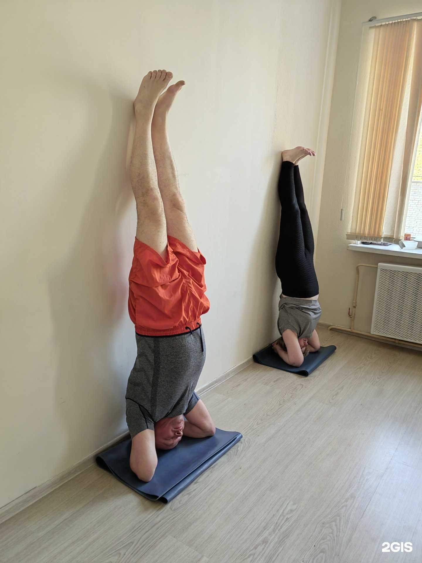 Отзывы на компанию Саттва в г. Пермь c фото