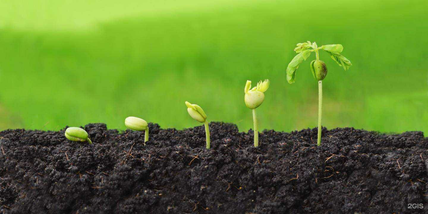 Отзывы на компанию Агрохиминвест-НН в г. Нижний Новгород c фото