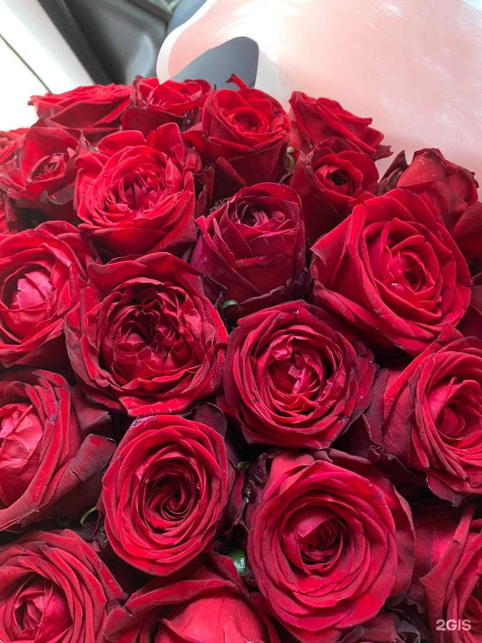Отзывы на компанию Мир цветов в г. Ижевск c фото