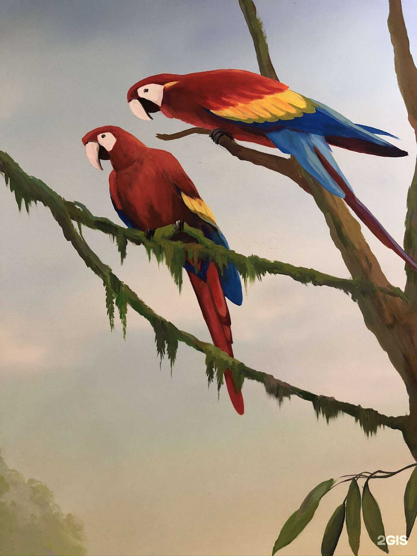 Отзывы на компанию Викинг в г. Рязань c фото