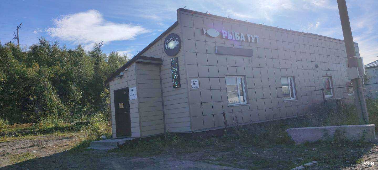 Отзывы на компанию Рыба тут в Мурманске c фото