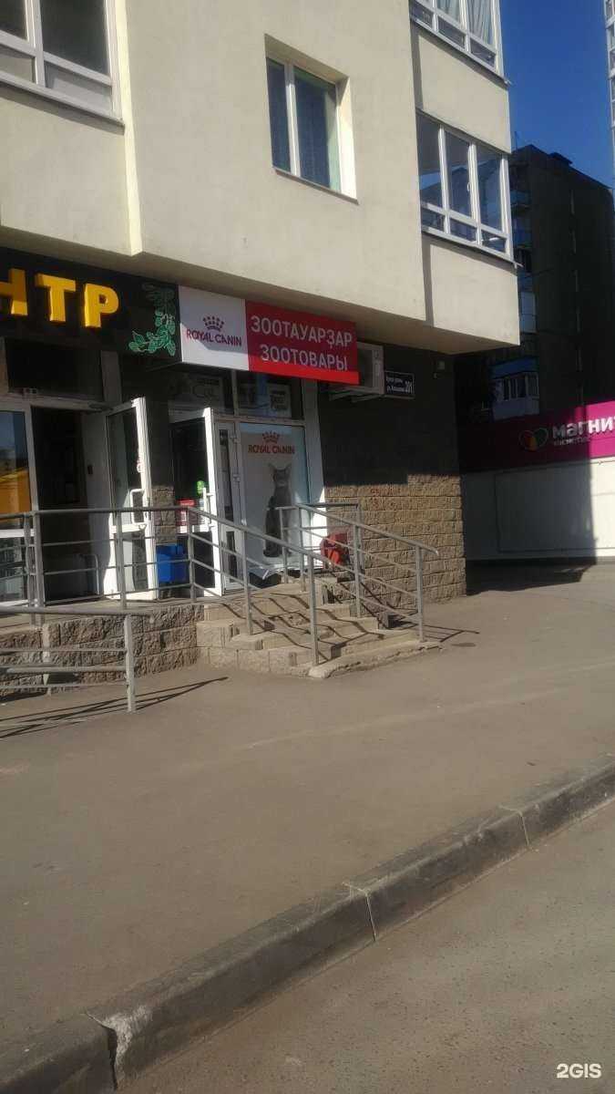Отзывы на компанию Магазин зоотоваров в Уфе c фото