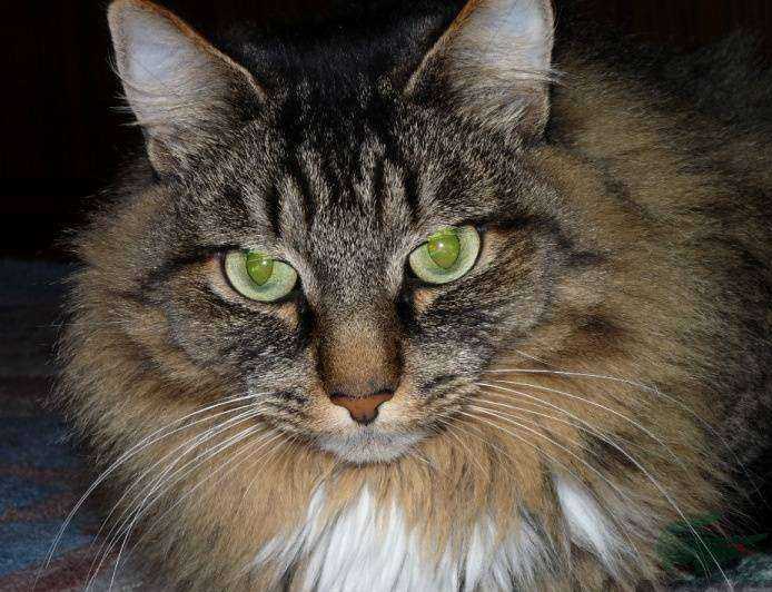 Отзывы на компанию ЗооУрал в г. Екатеринбург c фото