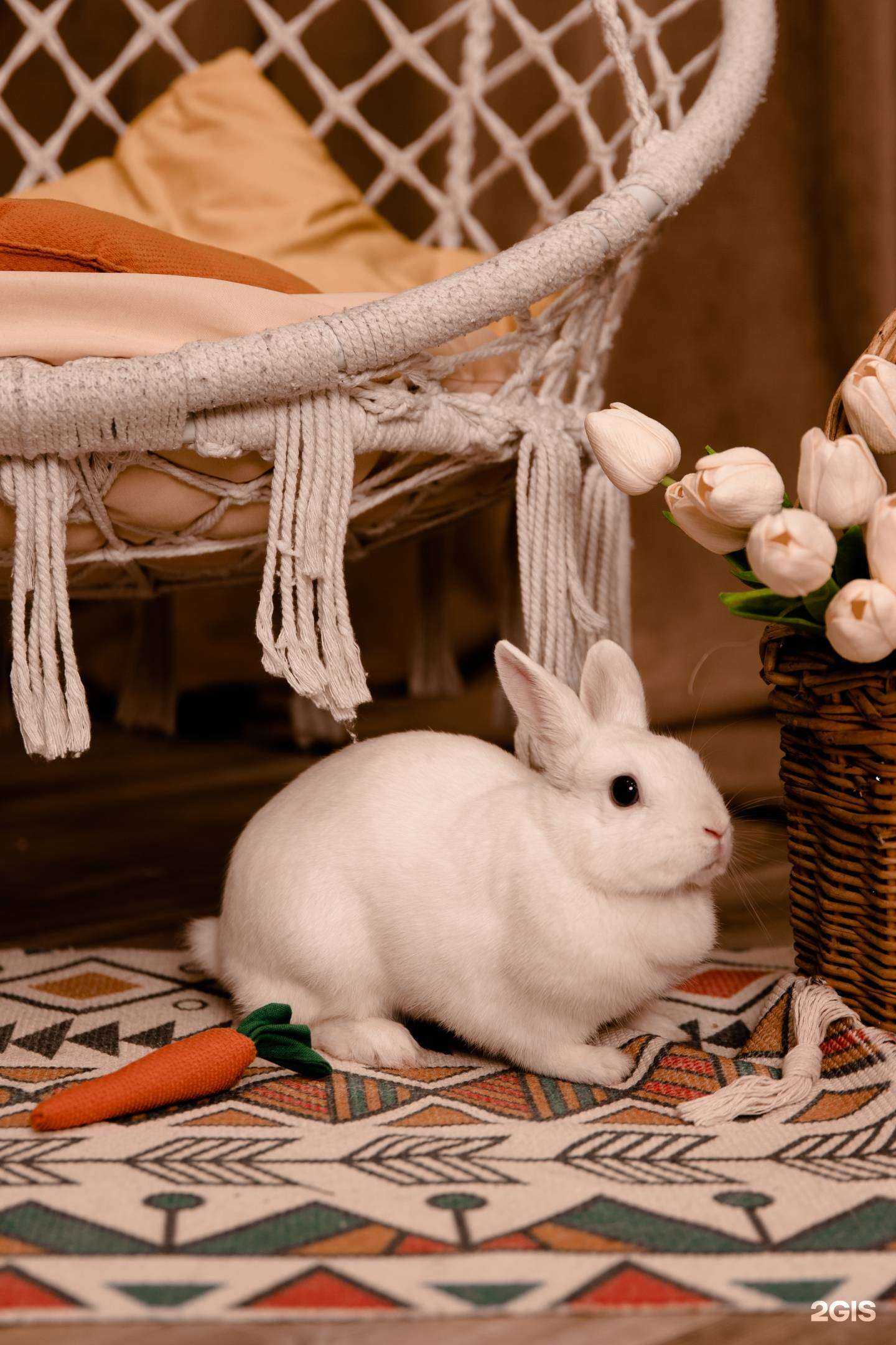 Отзывы на компанию Go в г. Подольск c фото