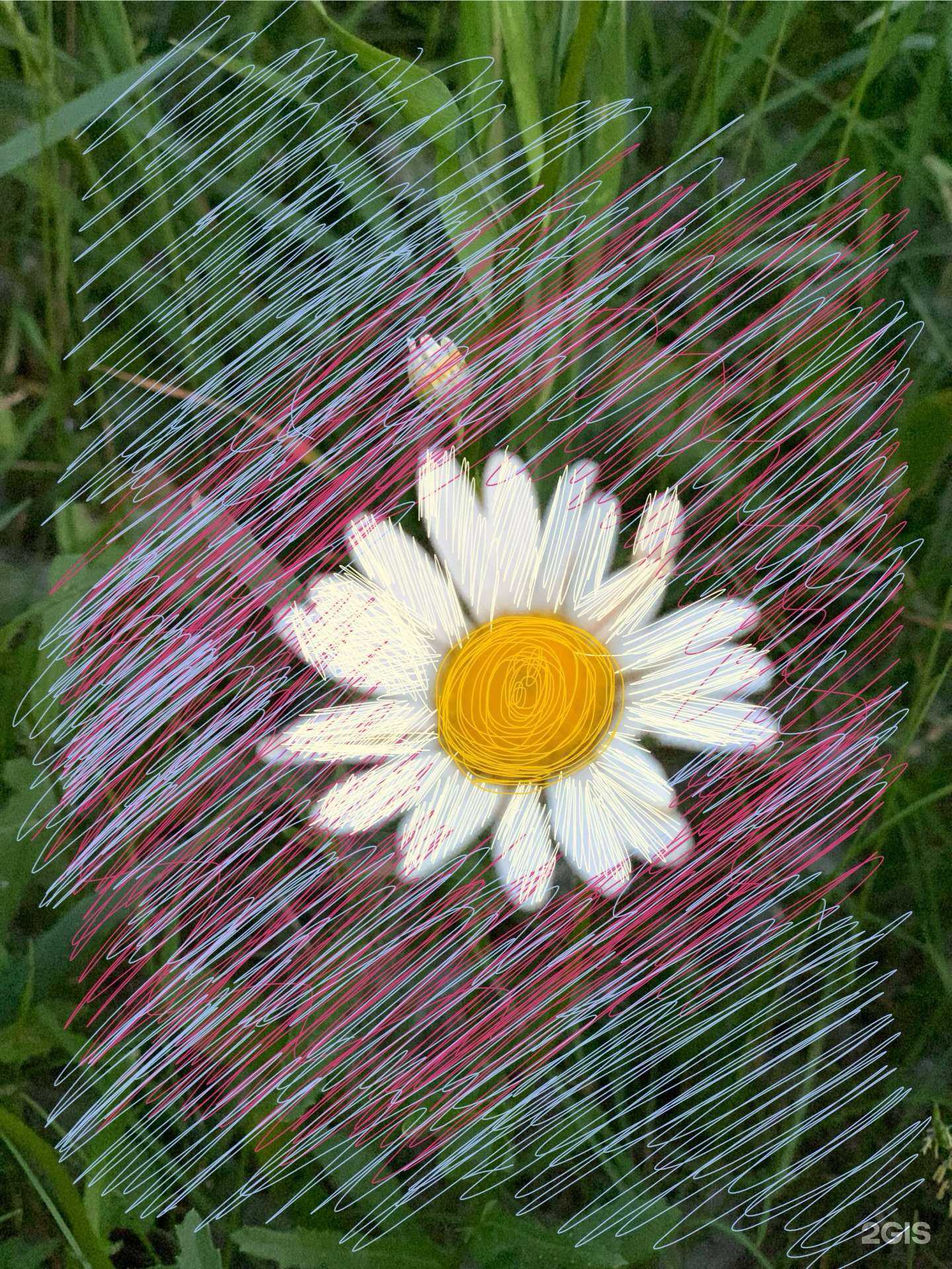 Отзывы на компанию Вот Такие Дела в Красноярске c фото