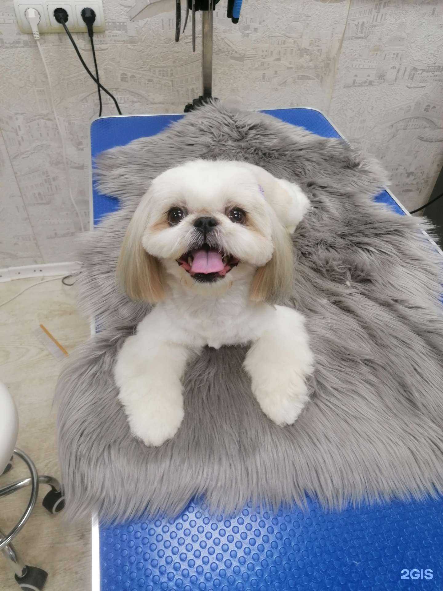 Отзывы на компанию Фея в г. Красноярск c фото