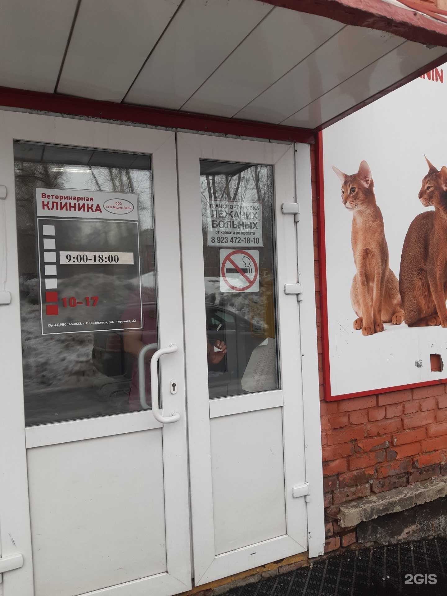 Отзывы на компанию Лео в Прокопьевске c фото