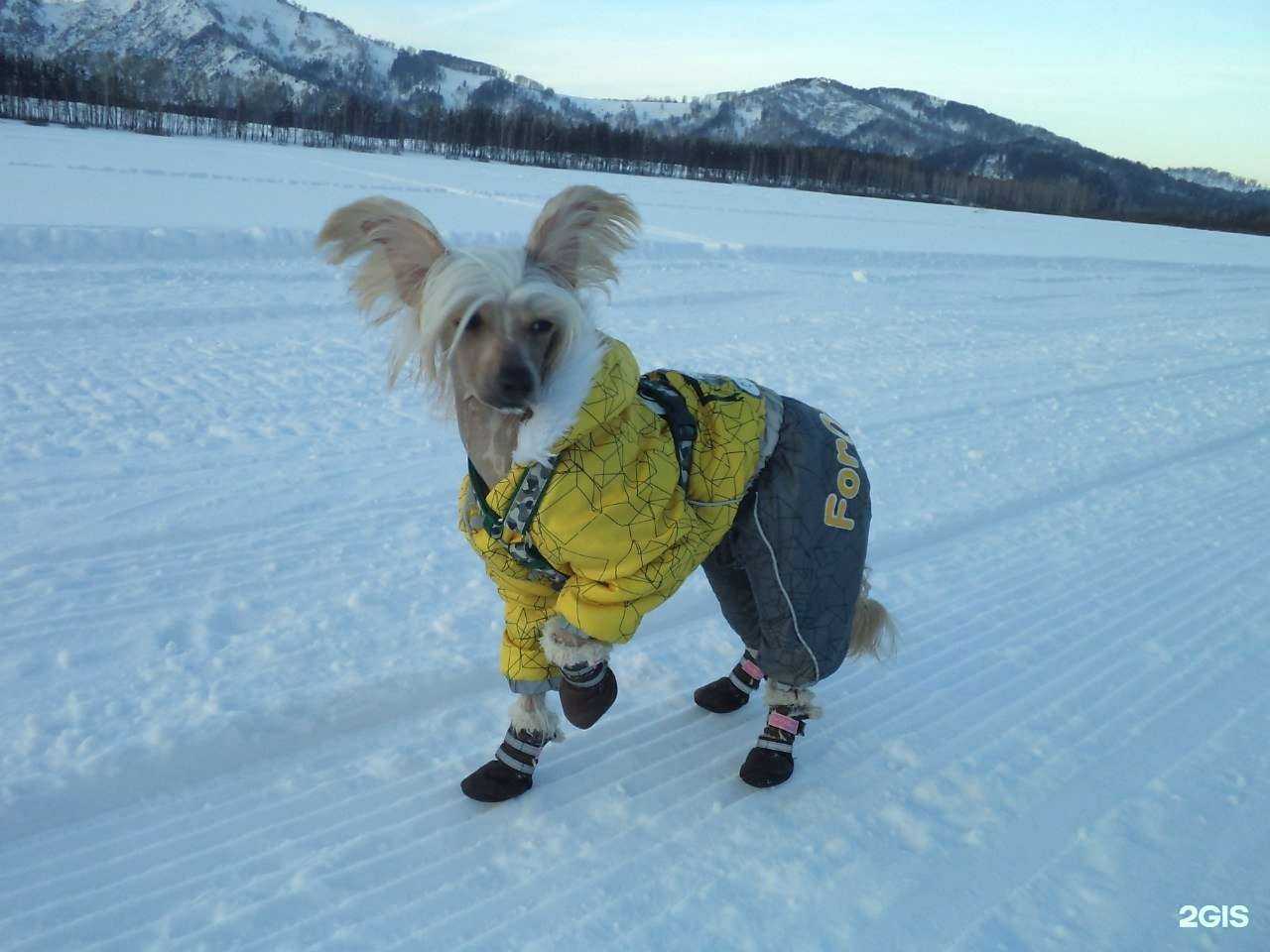 Отзывы на компанию zoostyle в Екатеринбурге c фото