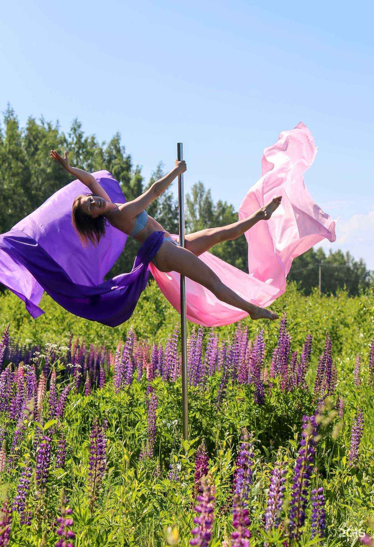 Отзывы на компанию PD House в Костроме c фото