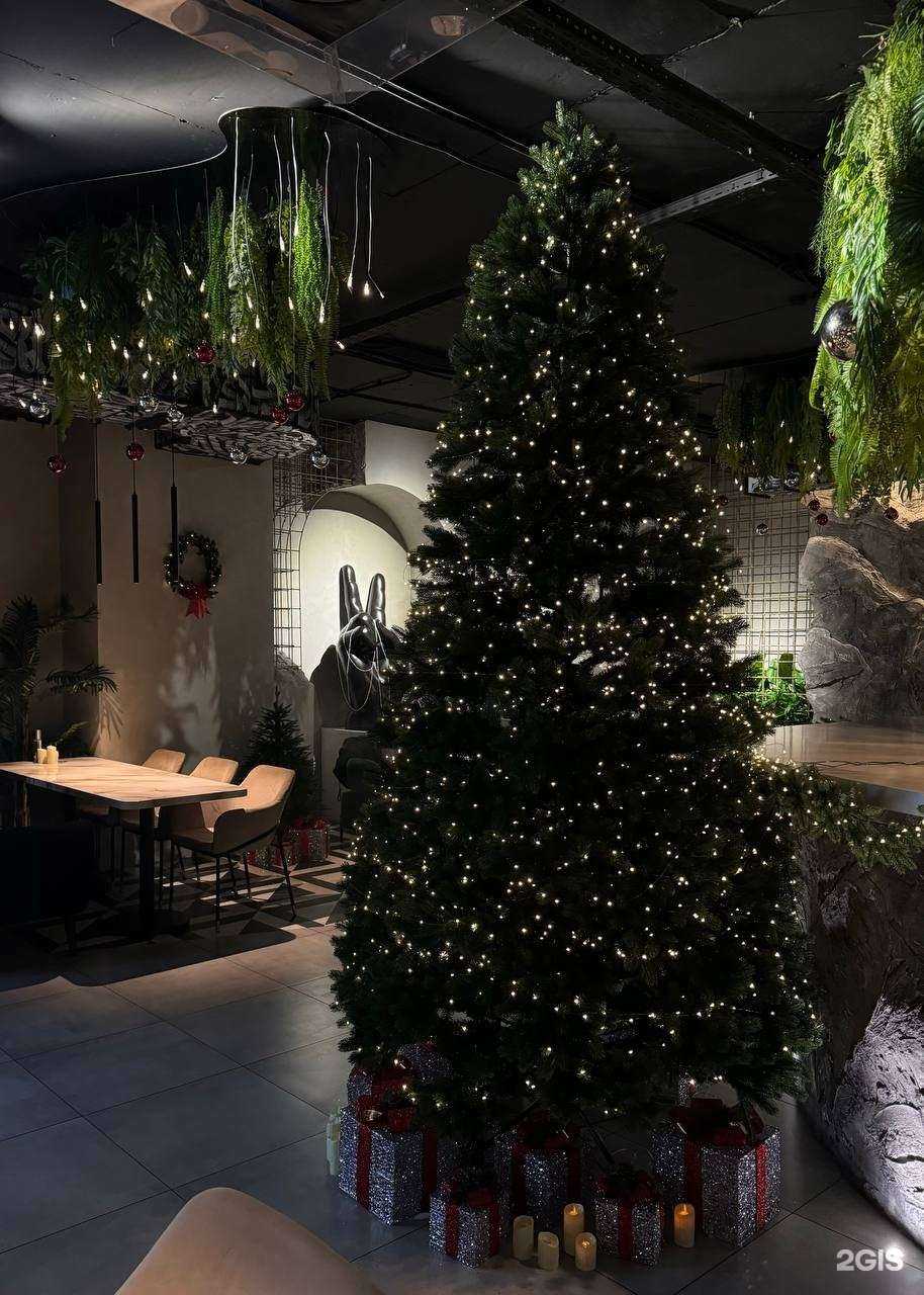 Отзывы на компанию Jojo в Казани c фото