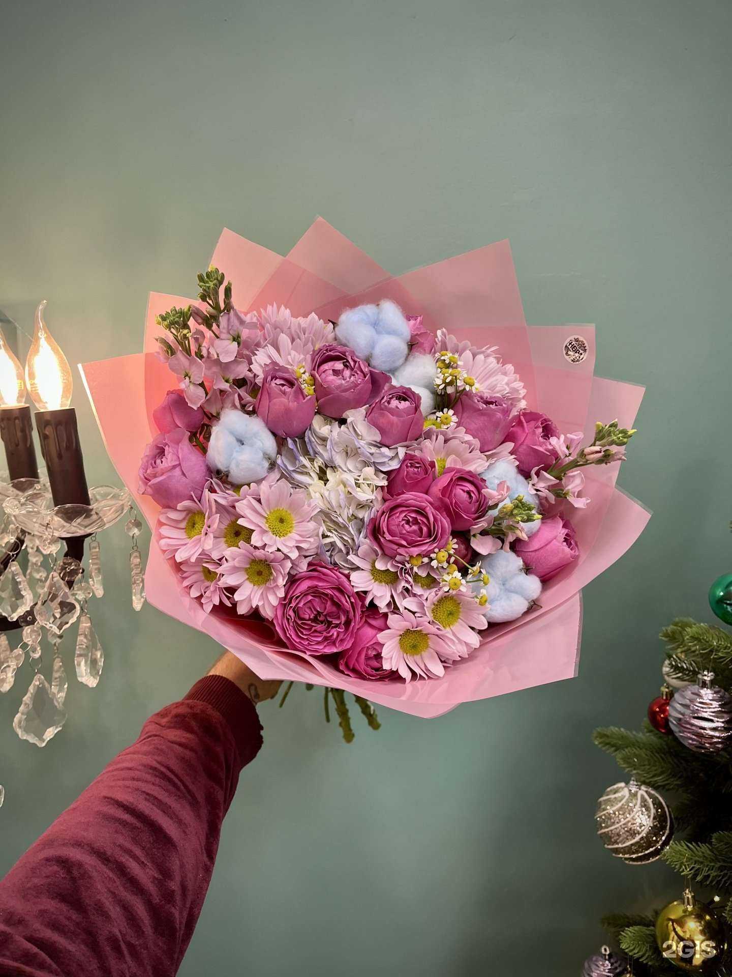 Отзывы на компанию Нора в г. Краснодар c фото