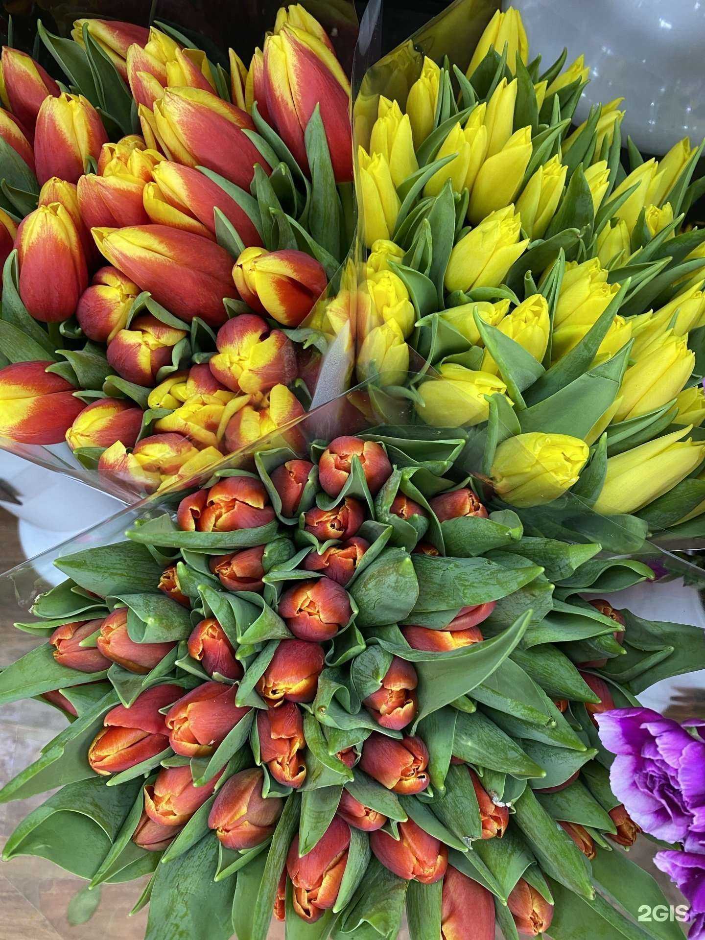 Отзывы на компанию Центр цветоф в г. Омск c фото