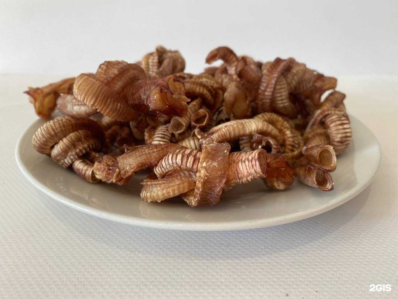 Отзывы на компанию Лемурчик рыбачок в г. Омск c фото