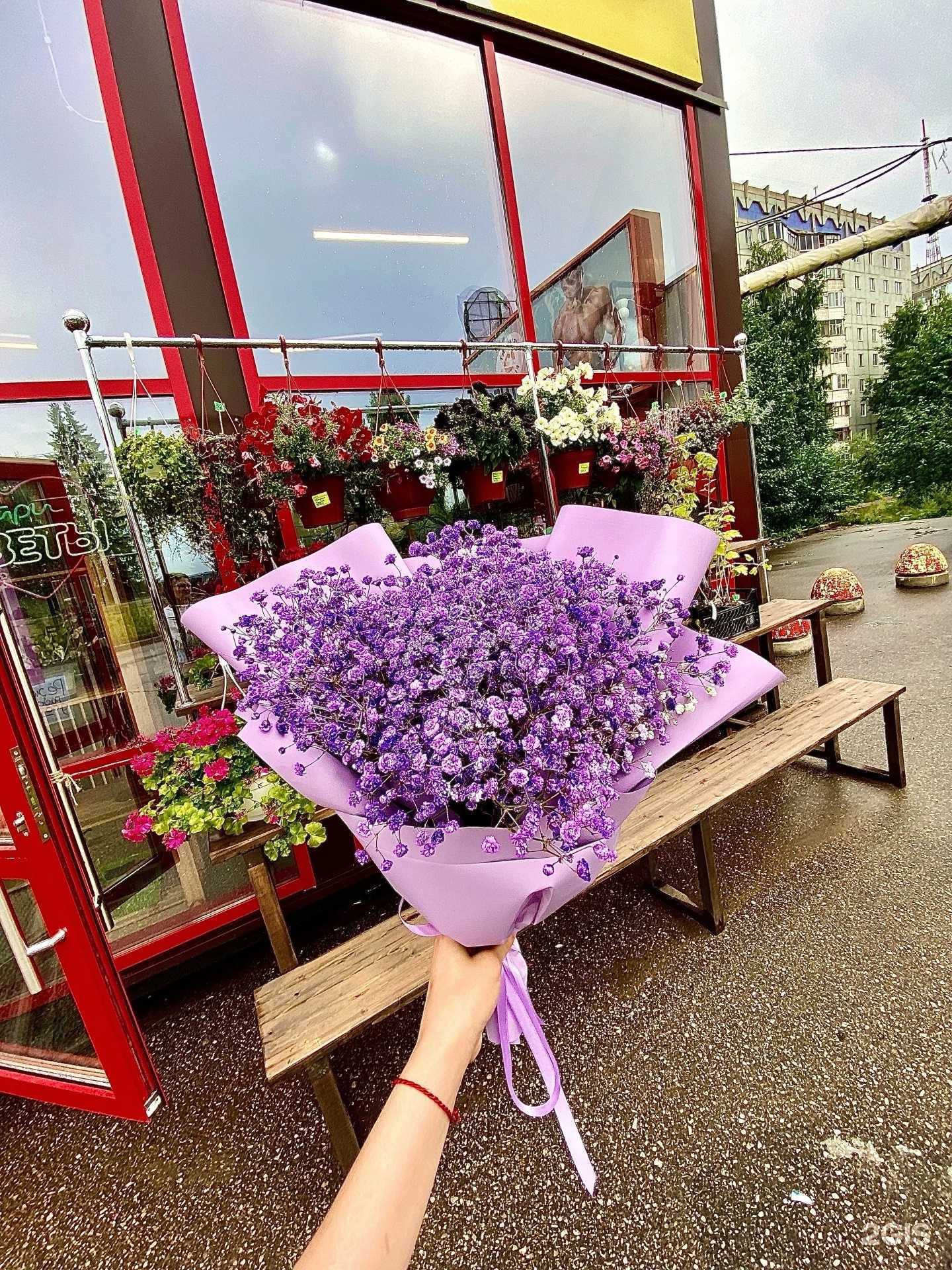 Отзывы на компанию Мир цветов в г. Сыктывкар c фото