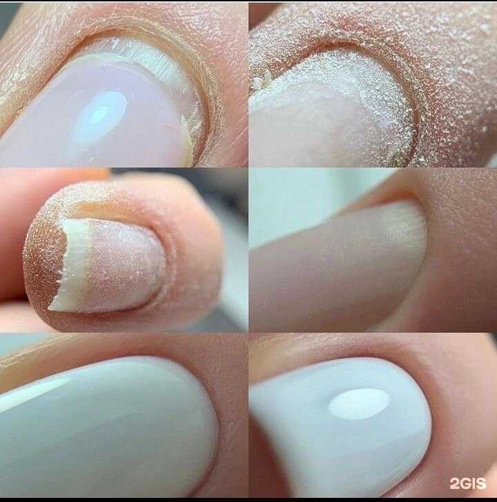 Отзывы на компанию L.A.K в Волгограде c фото