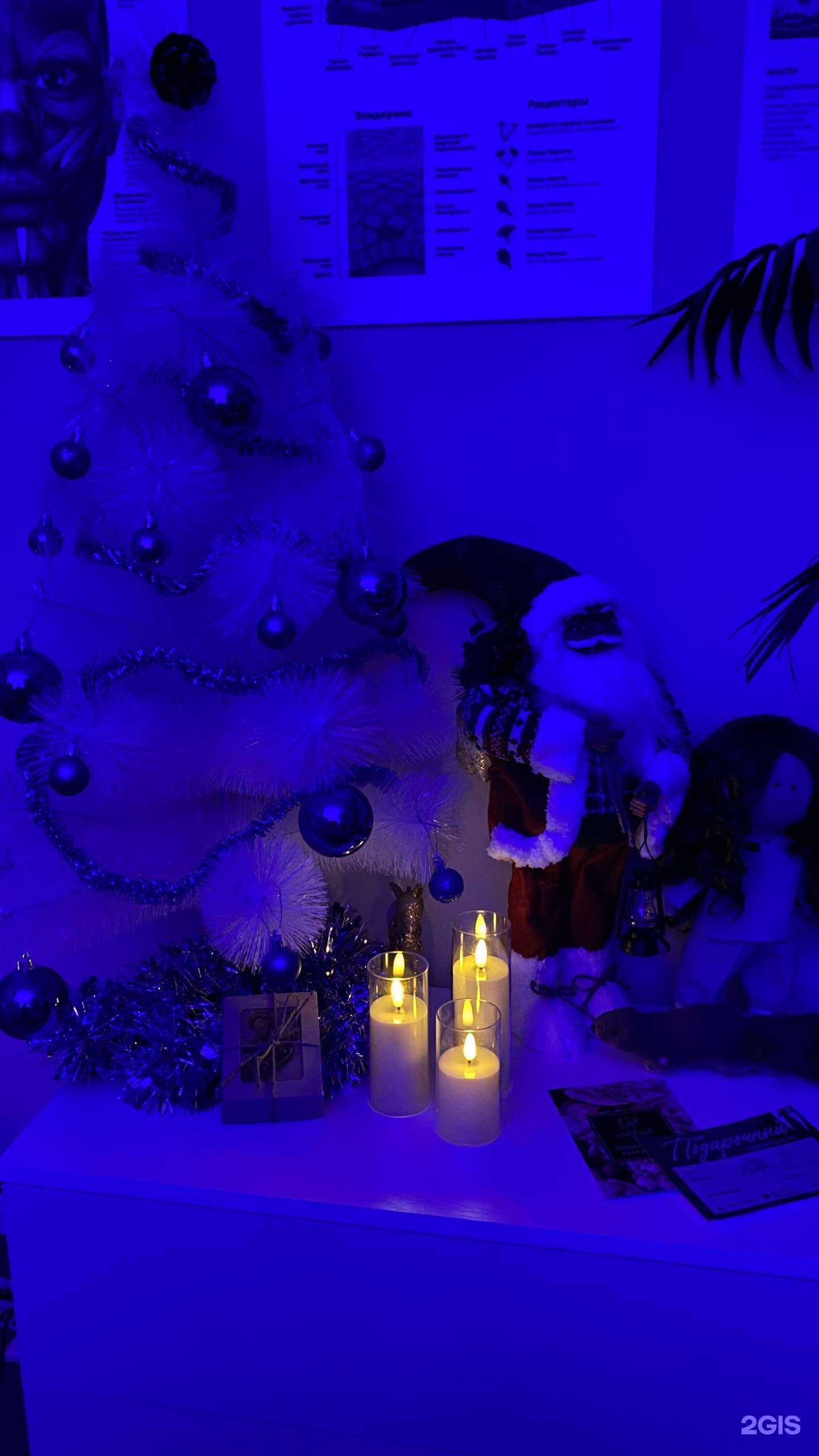 Отзывы на компанию Blue peony в Казани c фото