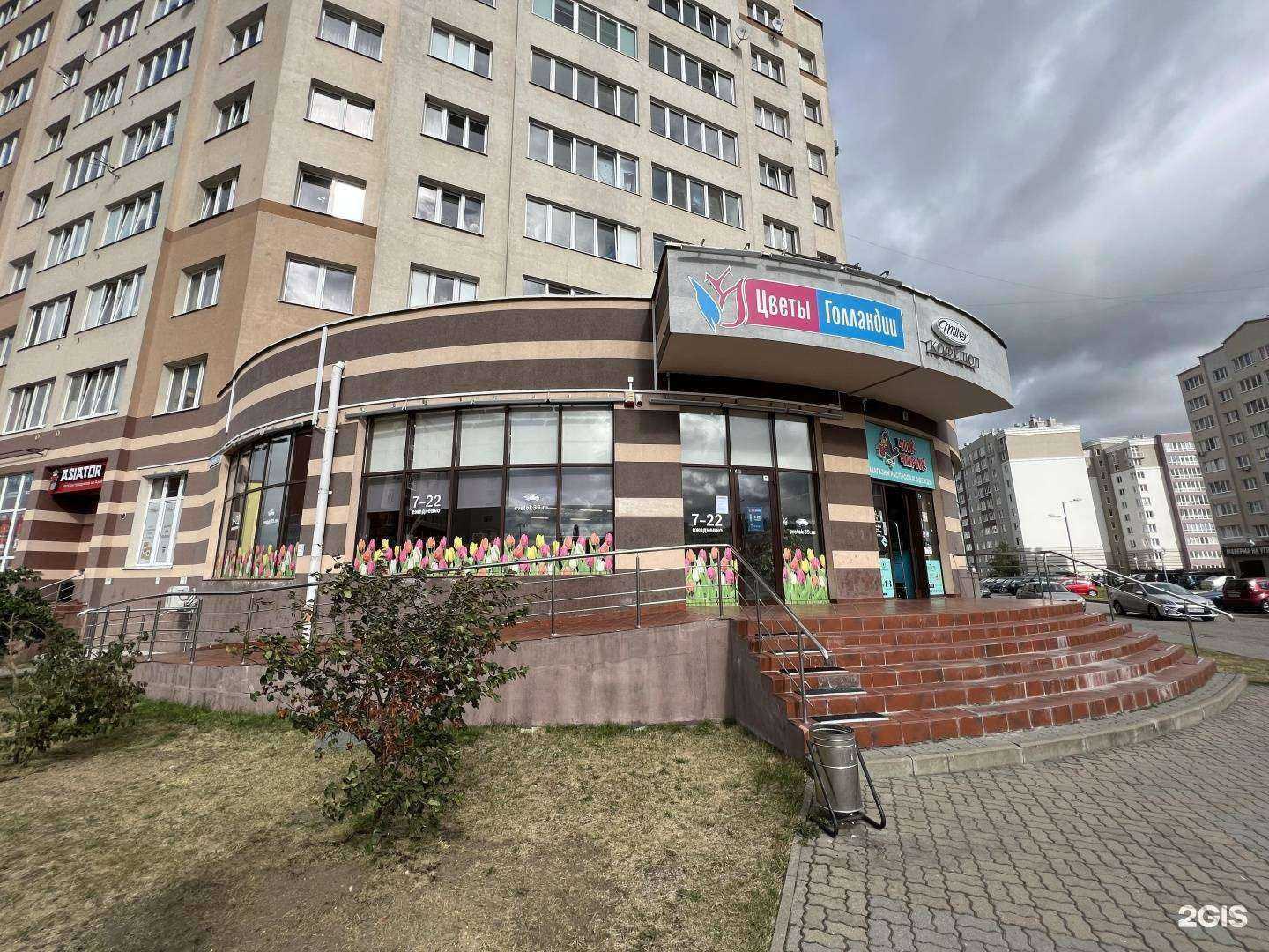 Отзывы на компанию Цветы Голландии в Калининграде c фото