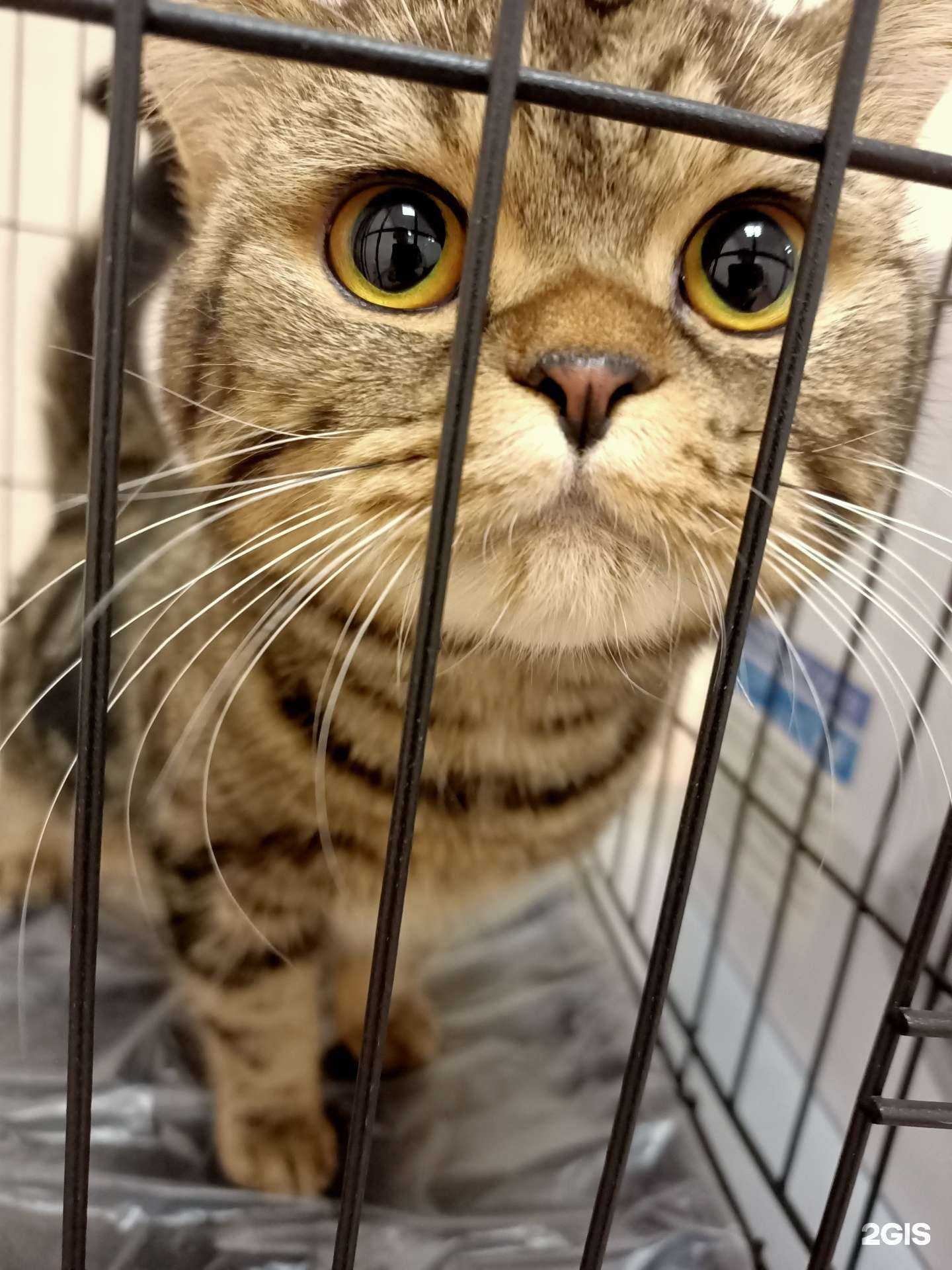 Отзывы на компанию Гиппократ в г. Новосибирск c фото