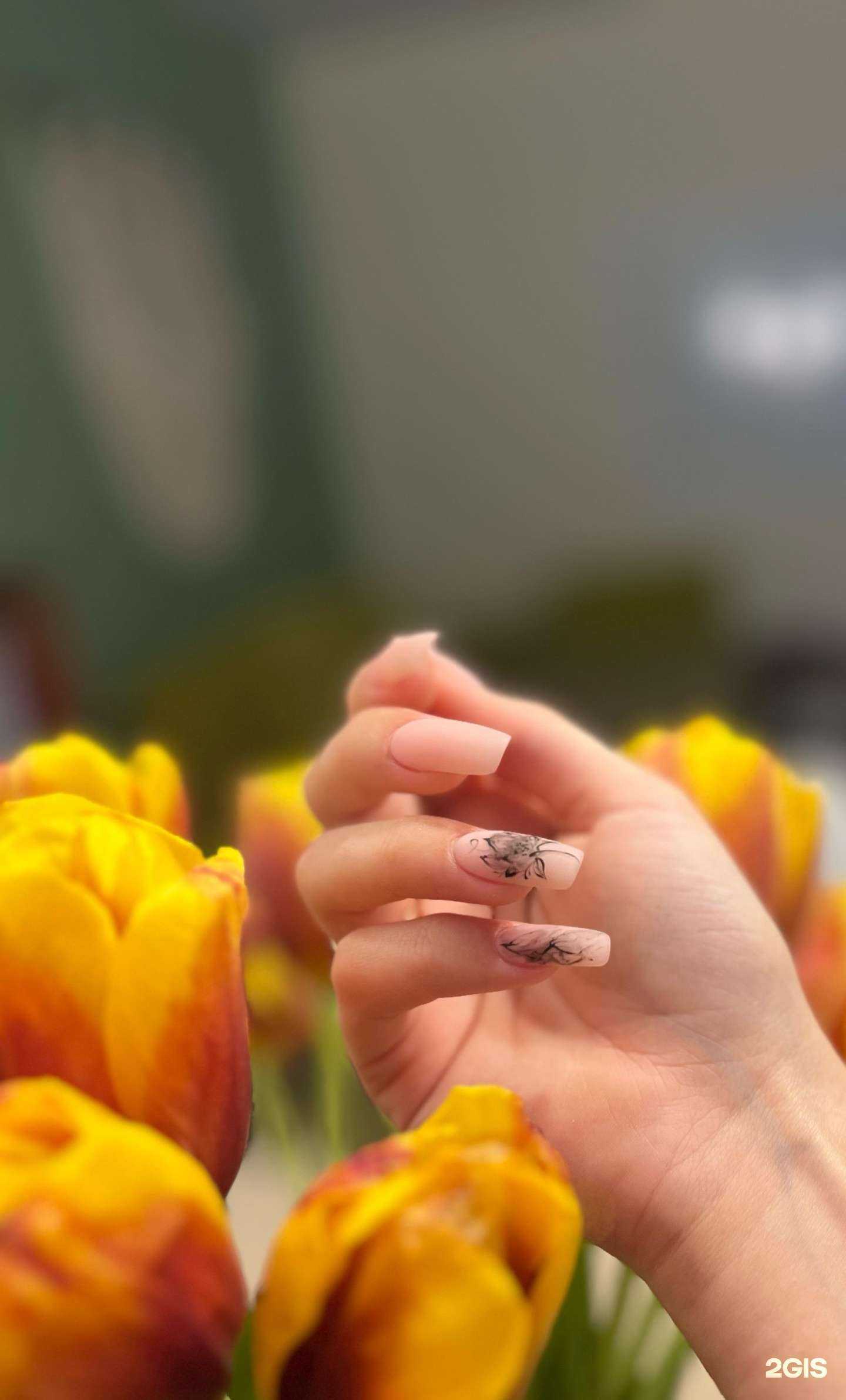 Отзывы на компанию Kosa Krasa в Краснодаре c фото