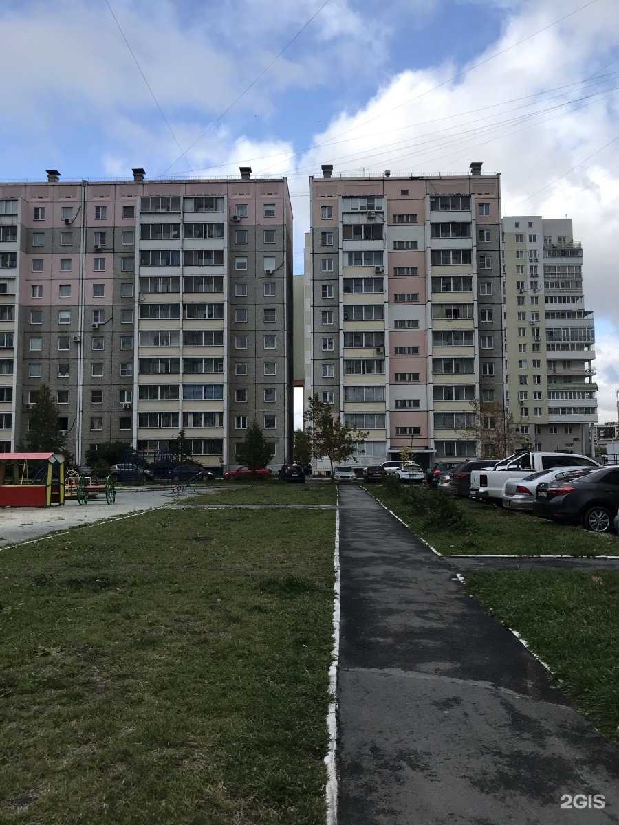 Отзывы на компанию Gokargo в г. Челябинск c фото