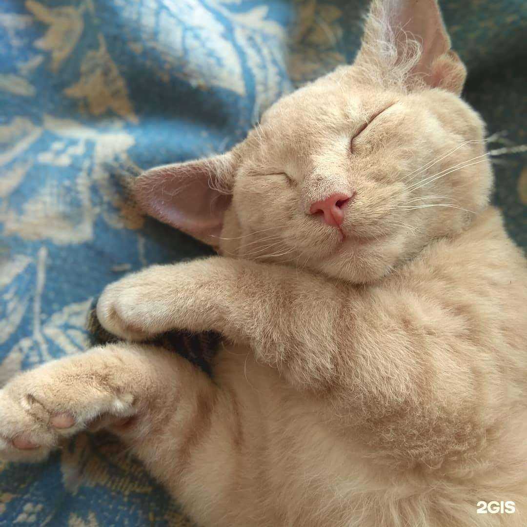 Отзывы на компанию Zoo в Губкине c фото