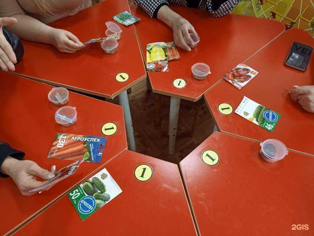 Отзывы на компанию Центр развития ребенка-детский сад №63 в Сочи c фото