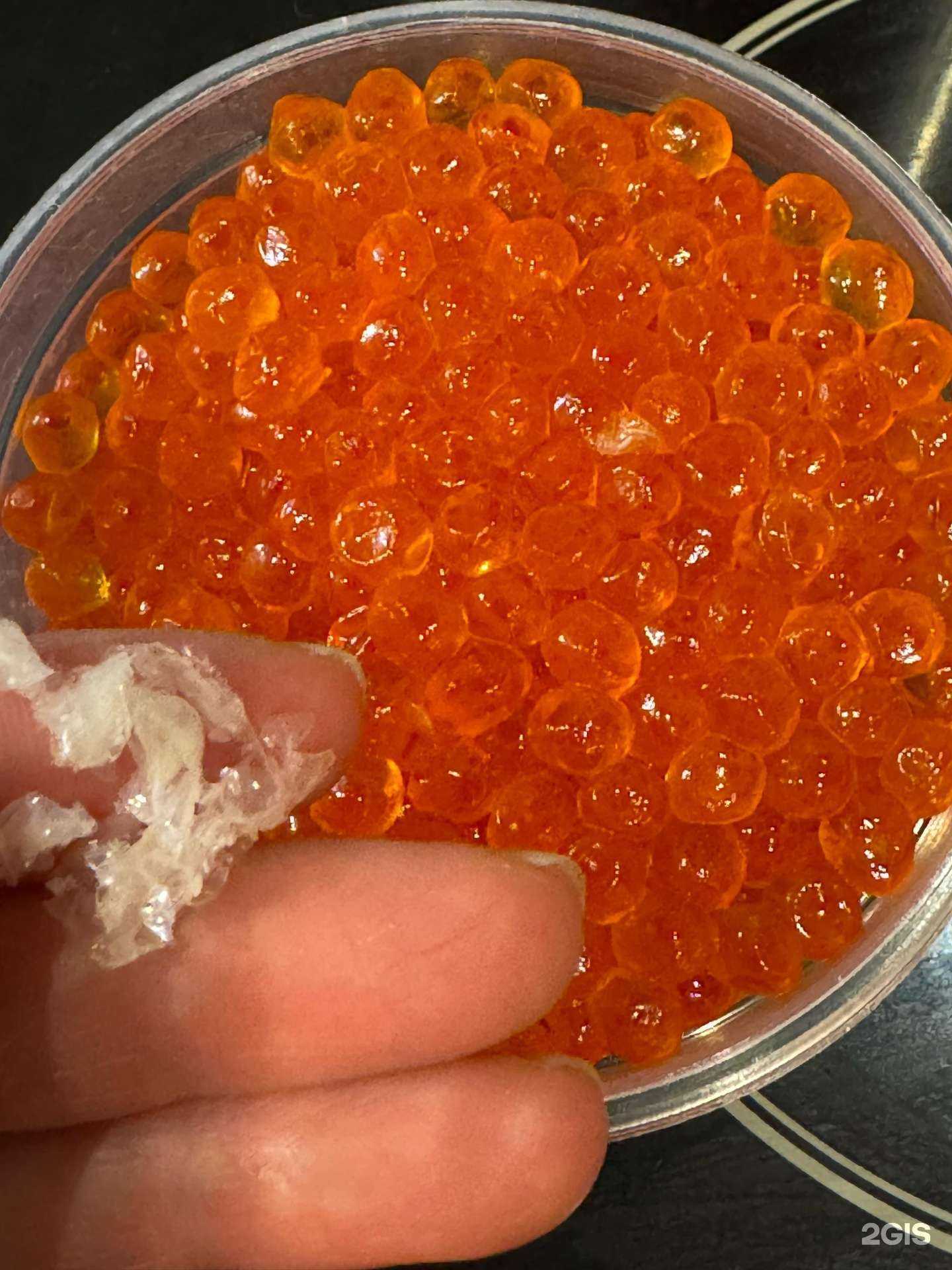 Отзывы на компанию Астронотус в Кемерове c фото