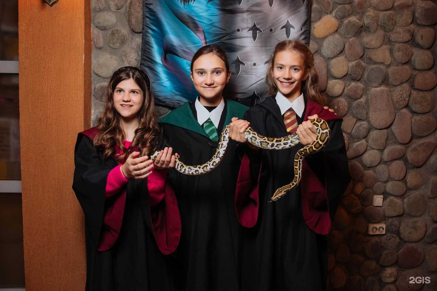Отзывы на компанию Гарри Поттер в Ставрополе c фото