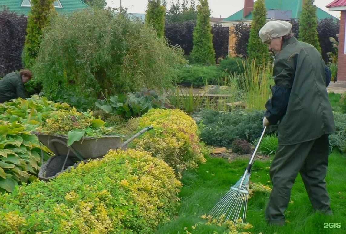 Отзывы на компанию Регион СЭС в г. Новосибирск c фото