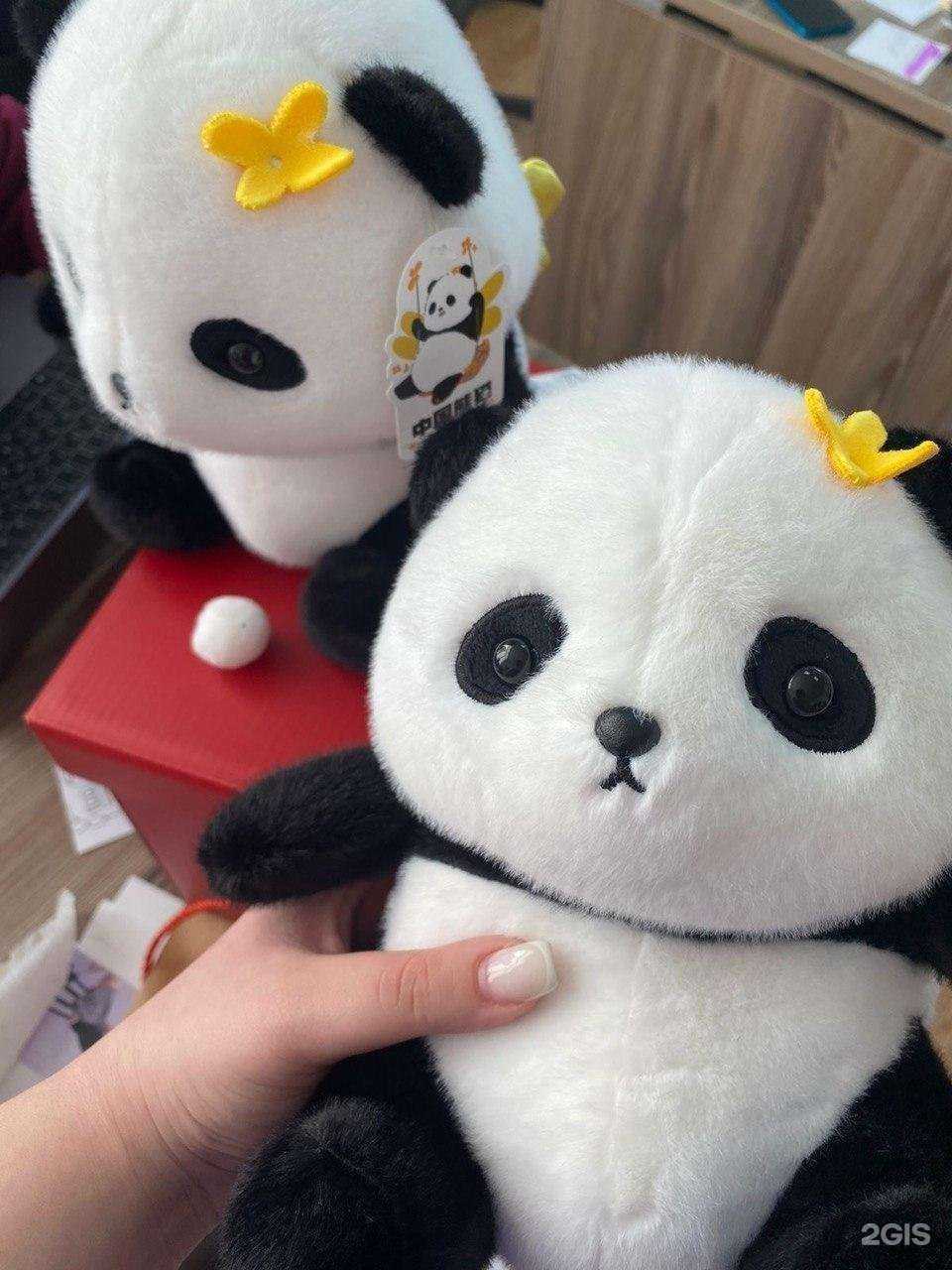 Отзывы на компанию Алекри Групп в Новосибирске c фото