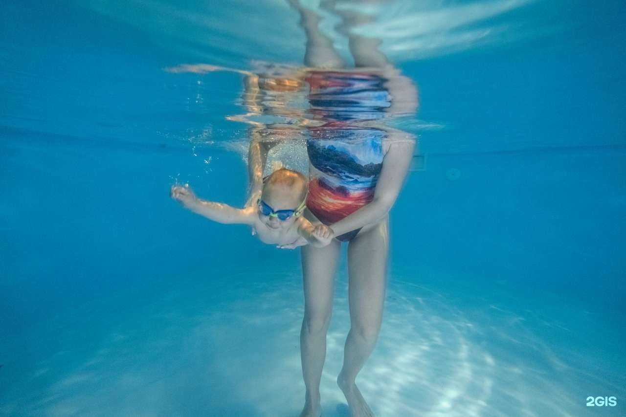 Отзывы на компанию Морские звезды в г. Коммунарка c фото