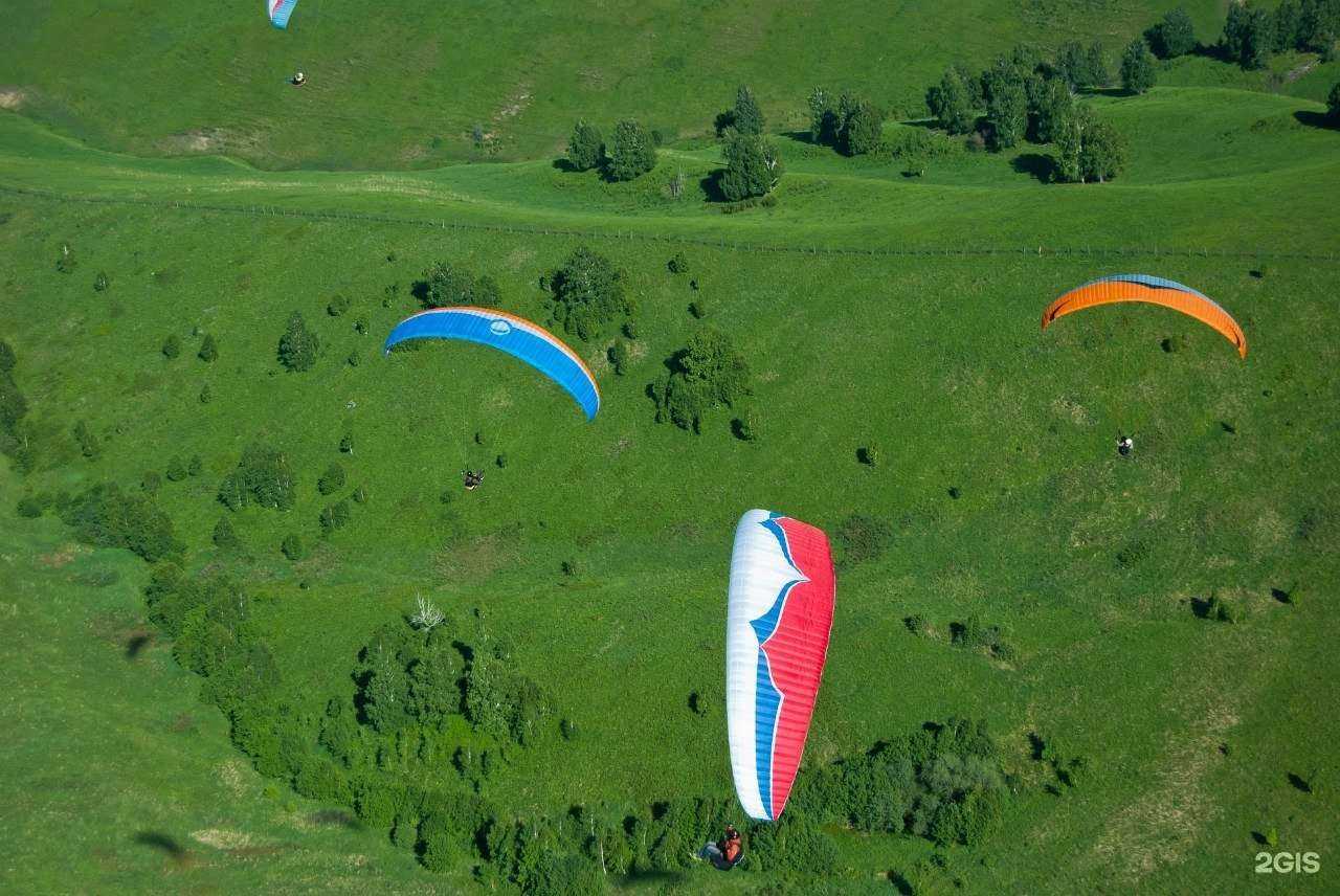 Отзывы на компанию Крылья Алтая в Барнауле c фото