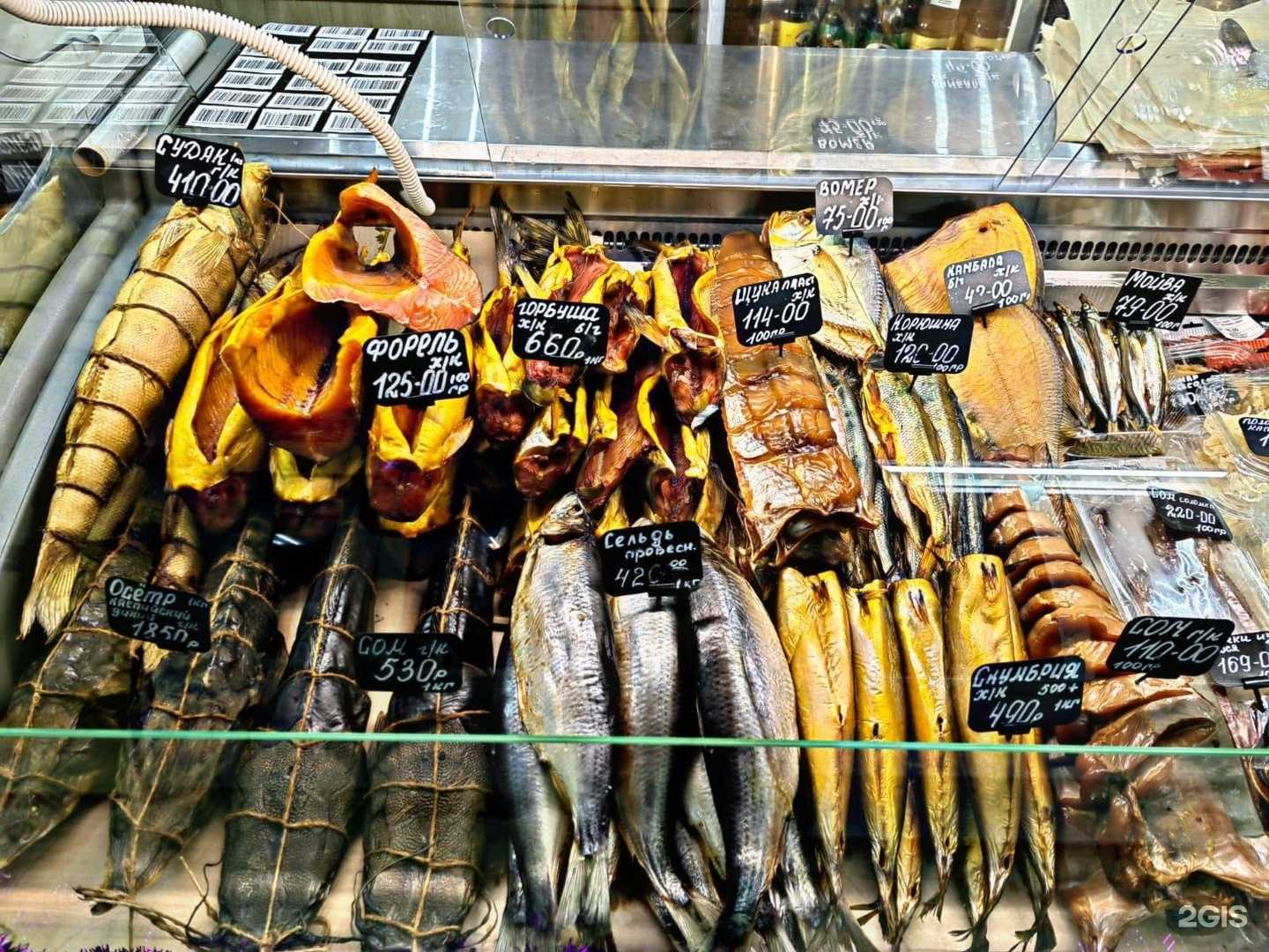 Отзывы на компанию Дельфин в Тамбове c фото